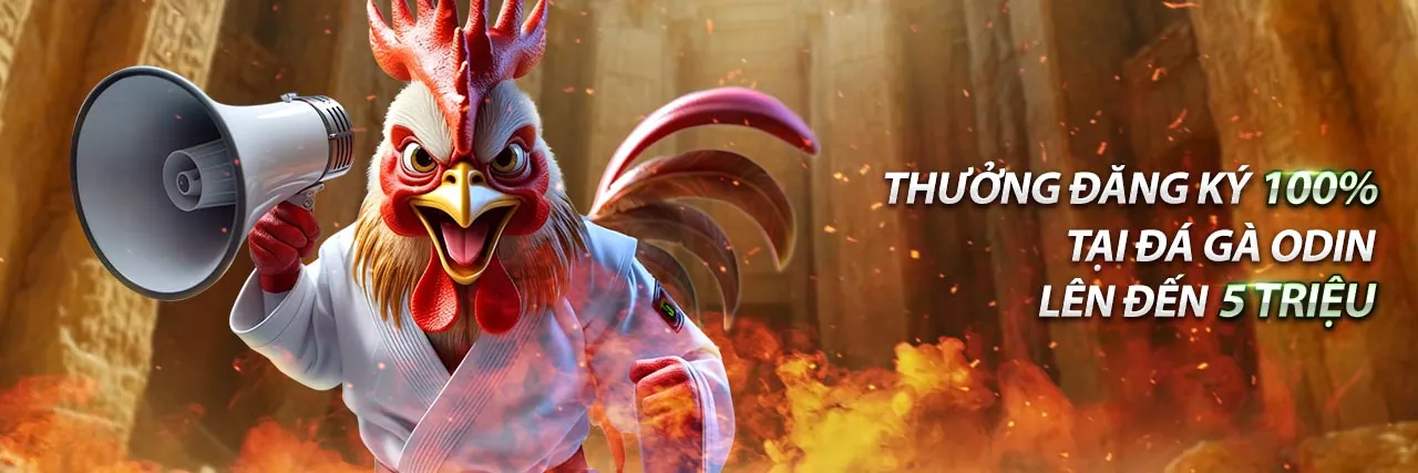 Dịch vụ hỗ trợ khách hàng 24/7 của KV888.NET